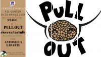 STAGE DI PULL OUT - RICERCA TARTUFI 
